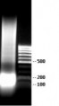 Ready to SureChIP HeLa chromatin